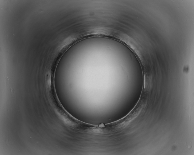 X0000102220253200807251217