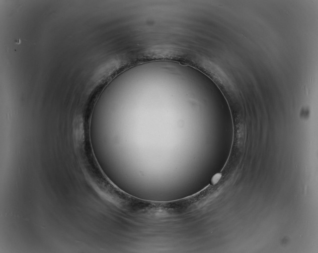 X0000102220254200807251217