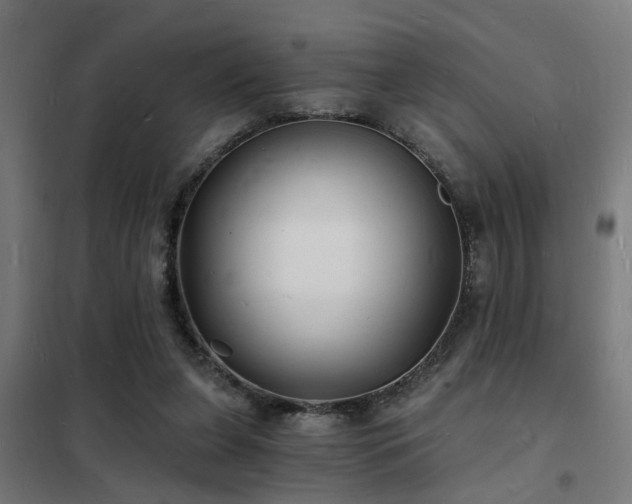 X0000102220255200807251217