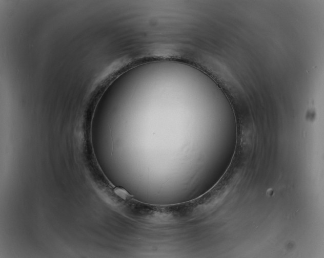 X0000102220256200807251217