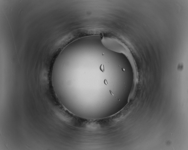 X0000102220258200807251217