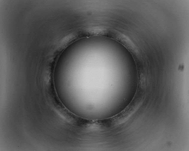 X0000102220259200807251217