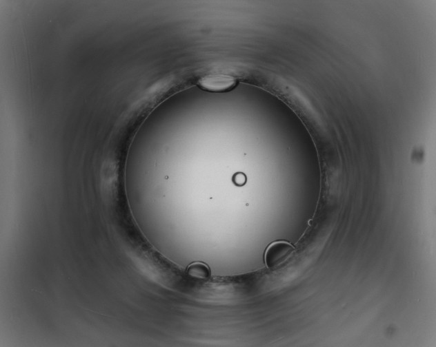 X0000102220260200807251217