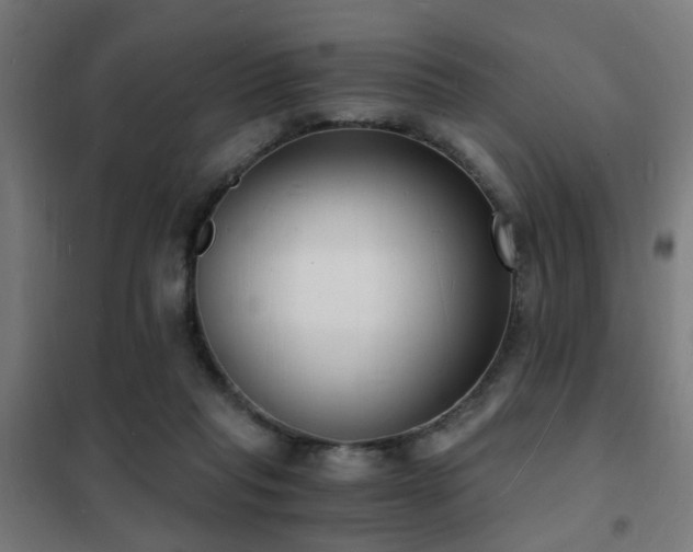 X0000102220261200807251217