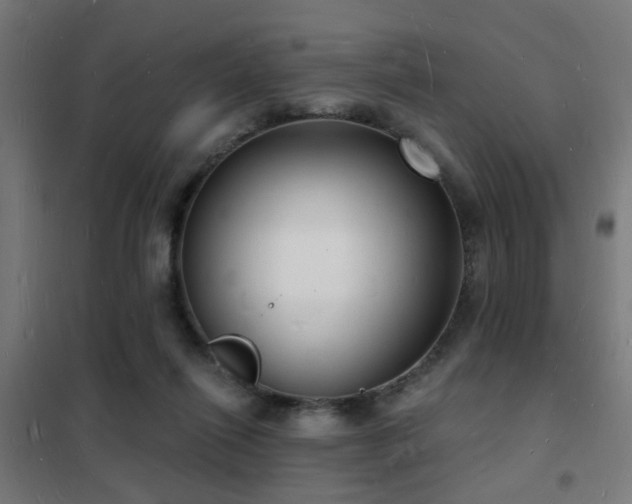 X0000102220262200807251217