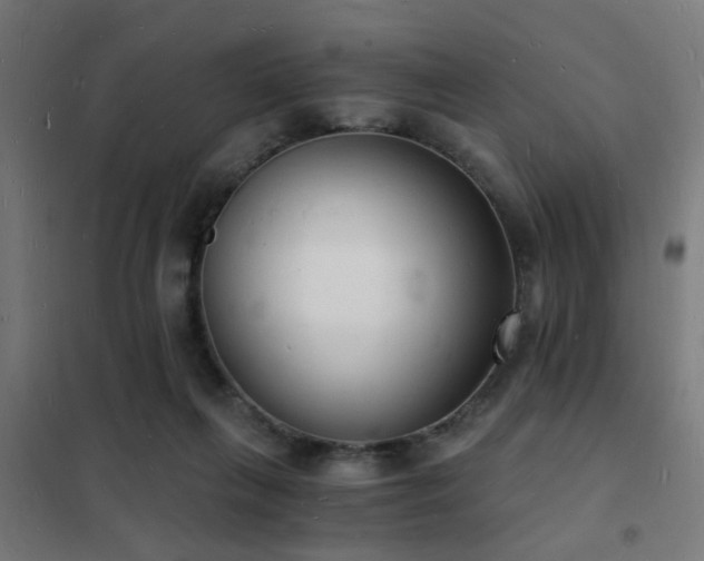 X0000102220263200807251218