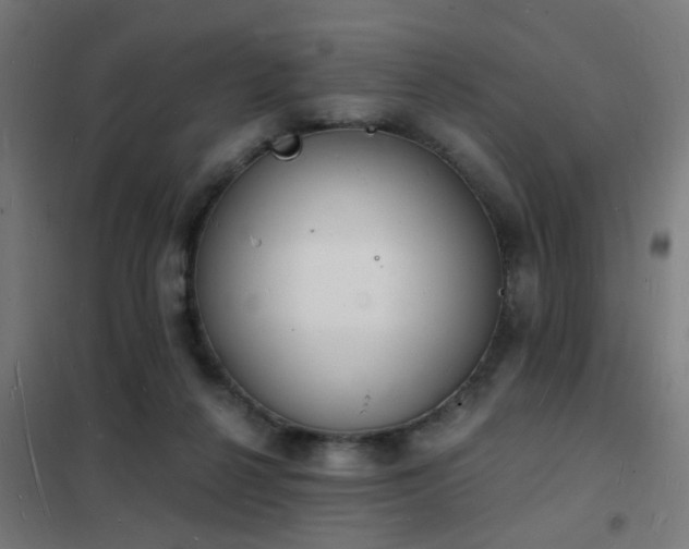 X0000102220264200807251218