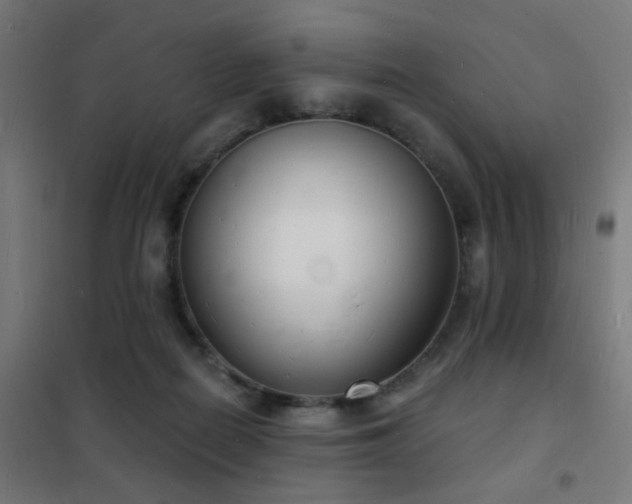 X0000102220266200807251218