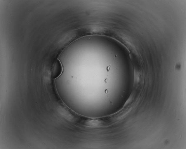 X0000102220269200807251218