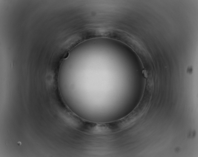 X0000102220270200807251218