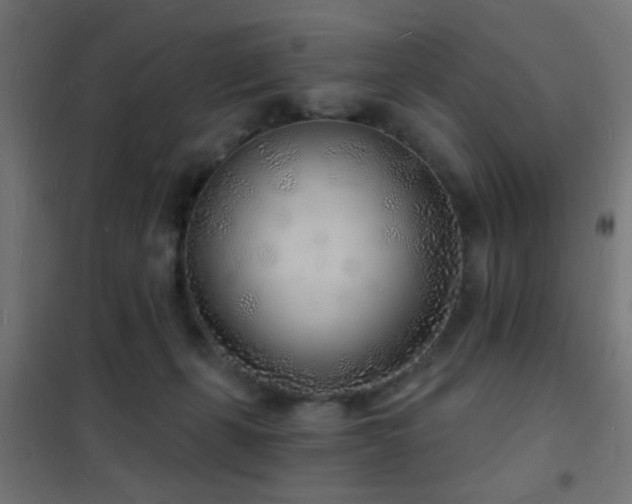 X0000102220271200807251218