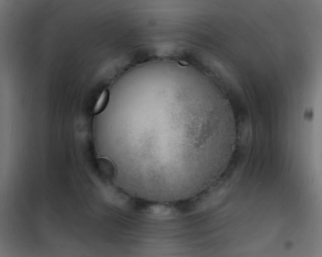 X0000102220272200807251218