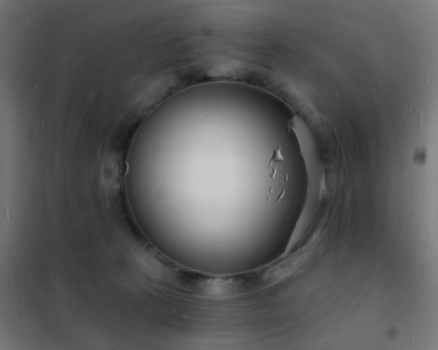 X0000102220273200807251218