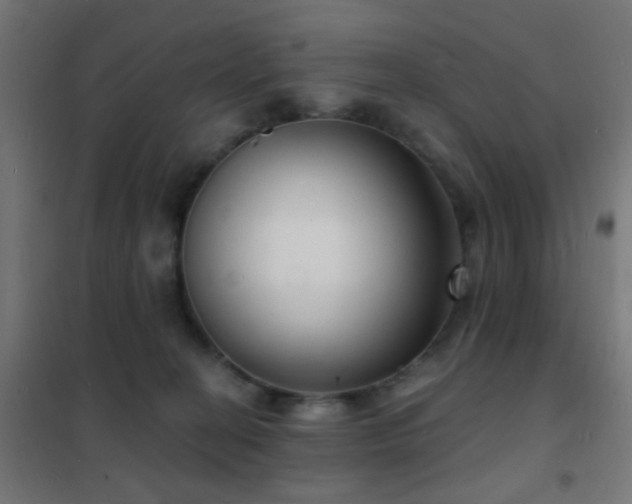 X0000102220274200807251218