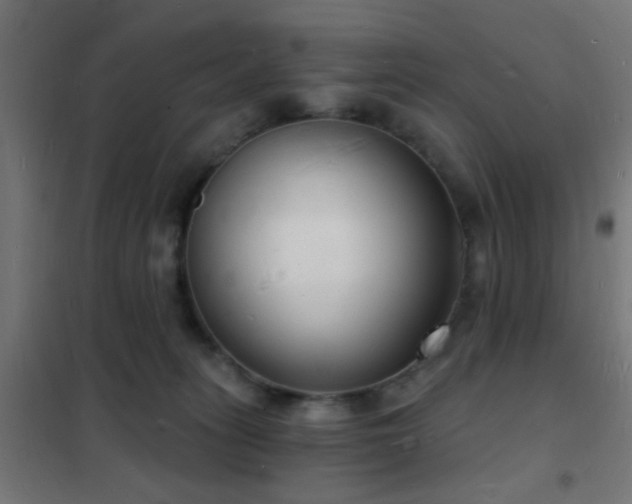 X0000102220275200807251218