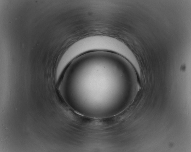 X0000102220276200807251218