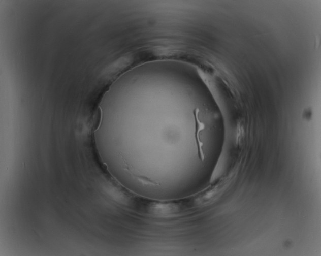 X0000102220277200807251218