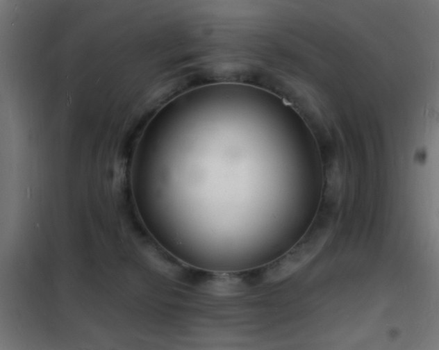 X0000102220278200807251218