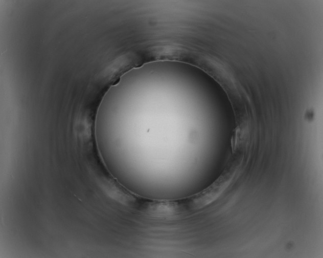 X0000102220282200807251218