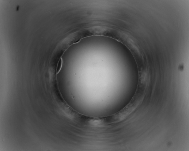 X0000102220283200807251218