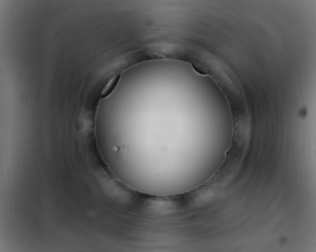 X0000102220284200807251218