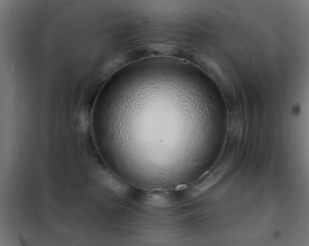 X0000102220285200807251218