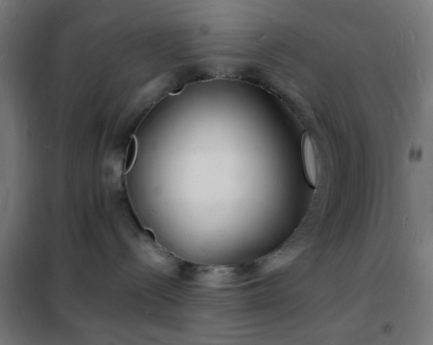 X0000102220288200807251218