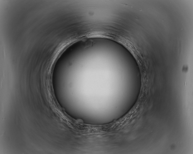 X0000102220289200807251217