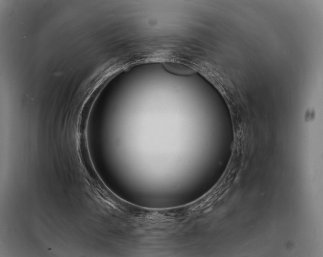 X0000102220290200807251217