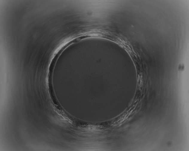 X0000102220292200807251217