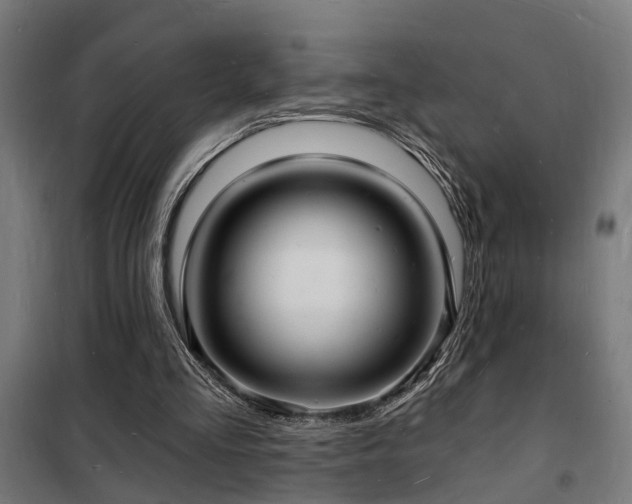 X0000102220293200807251217