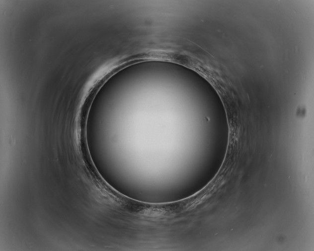 X0000102220294200807251217