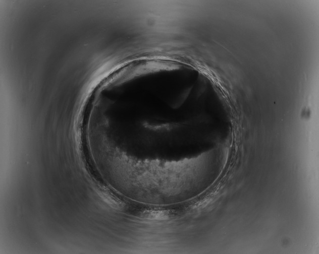 X0000102220295200807251217