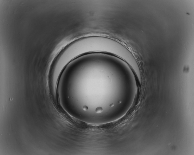 X0000102220296200807251217