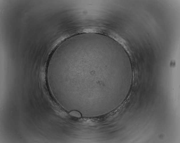 X0000102220297200807251217