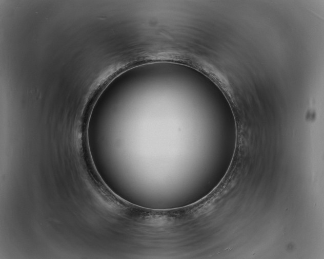 X0000102220298200807251217