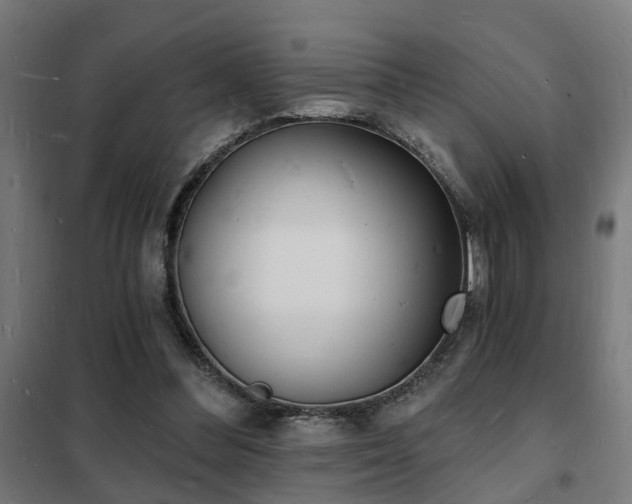 X0000102220300200807251217