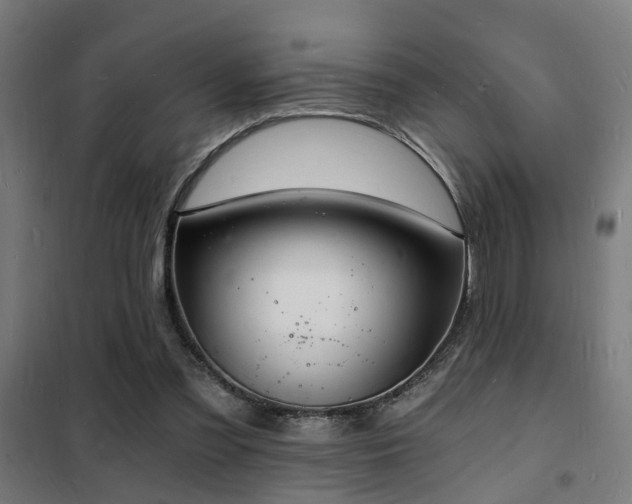 X0000102220301200807251217