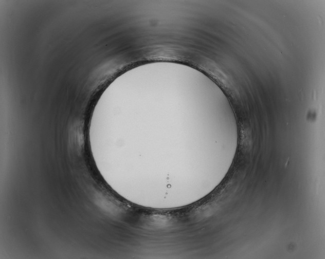 X0000102220302200807251217