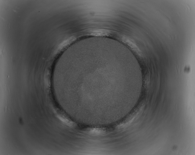 X0000102220303200807251217