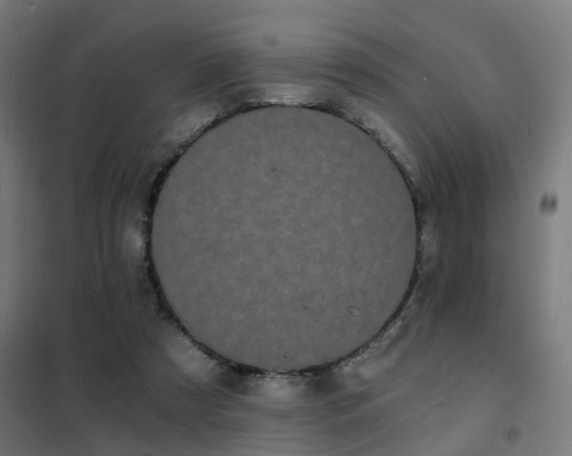 X0000102220305200807251217