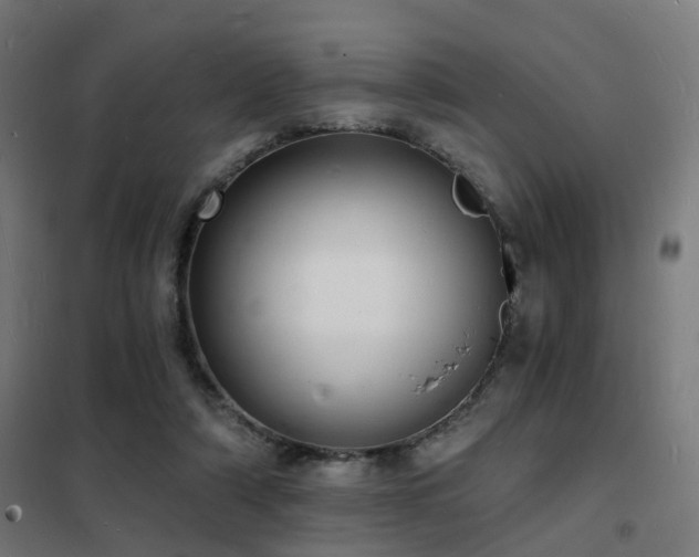 X0000102220306200807251217