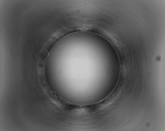 X0000102220307200807251217