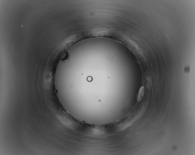 X0000102220308200807251217