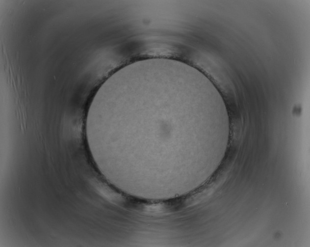 X0000102220309200807251217