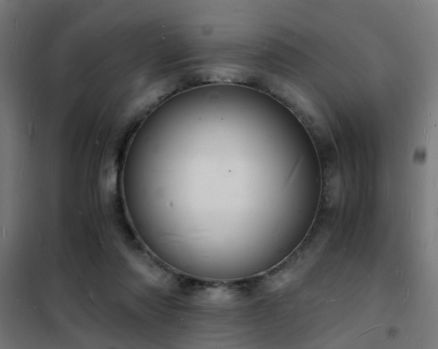 X0000102220310200807251217