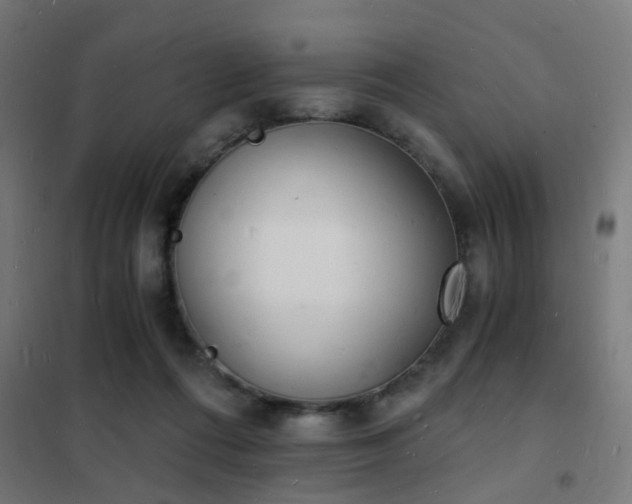 X0000102220312200807251217