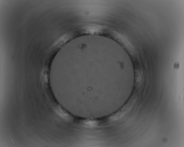 X0000102220313200807251217