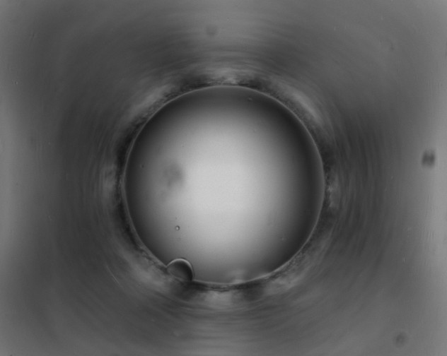 X0000102220314200807251217