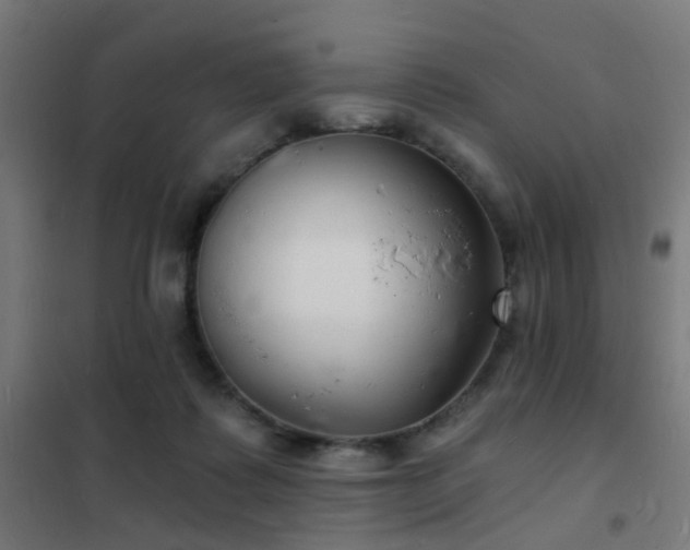 X0000102220315200807251217